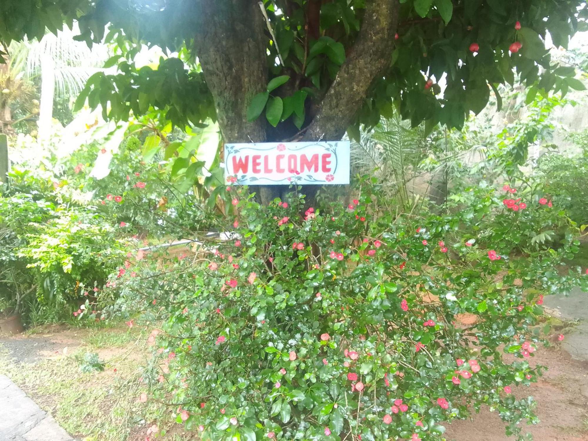 Gigi'S Self Catering Apartment Port Glaud Luaran gambar