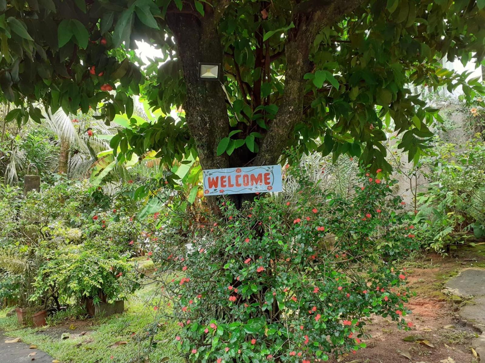 Gigi'S Self Catering Apartment Port Glaud Luaran gambar